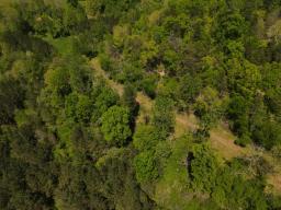 dji_fly_20250416_134012_134_1744828824695_photo