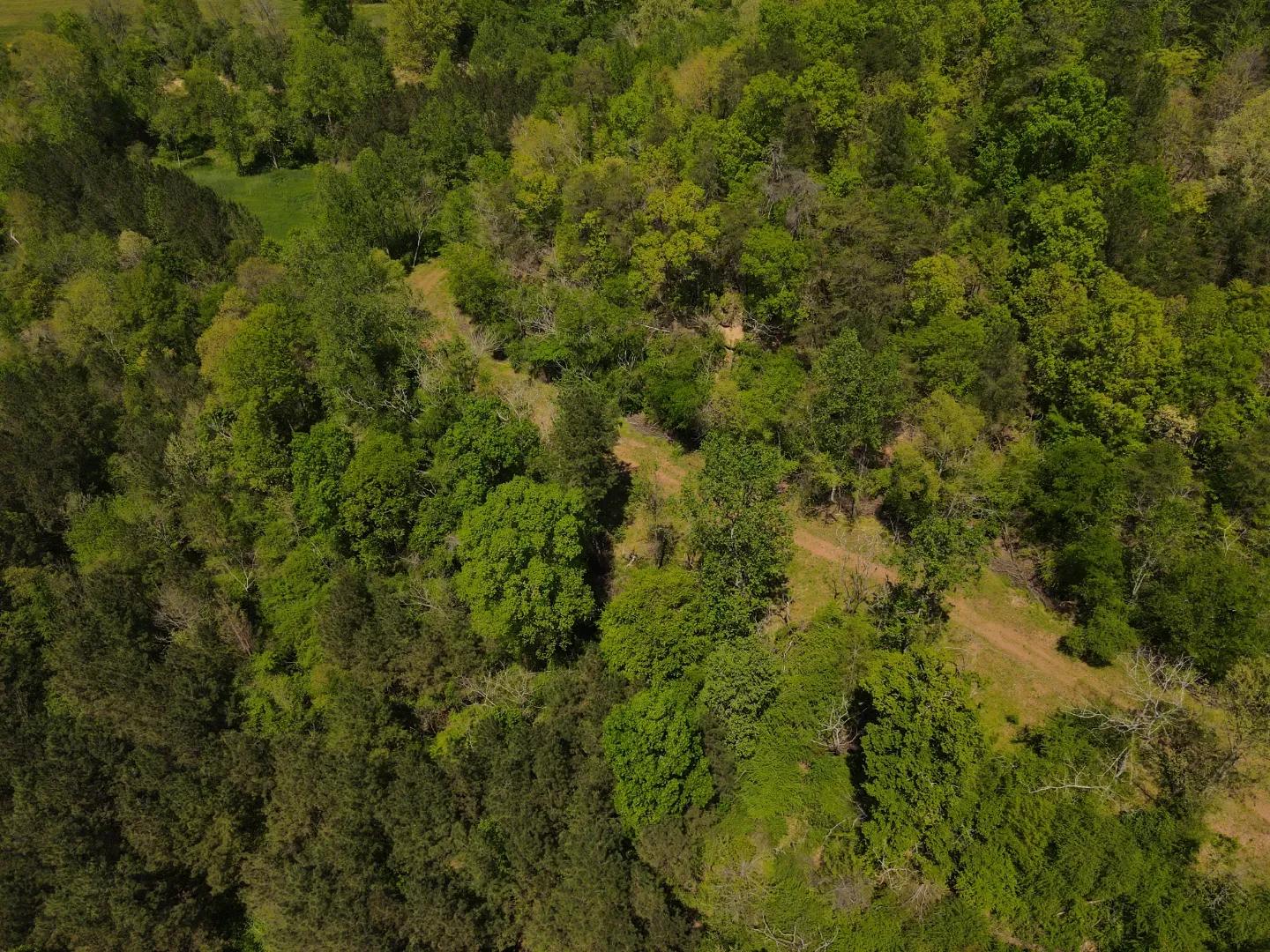 dji_fly_20250416_134012_134_1744828824695_photo