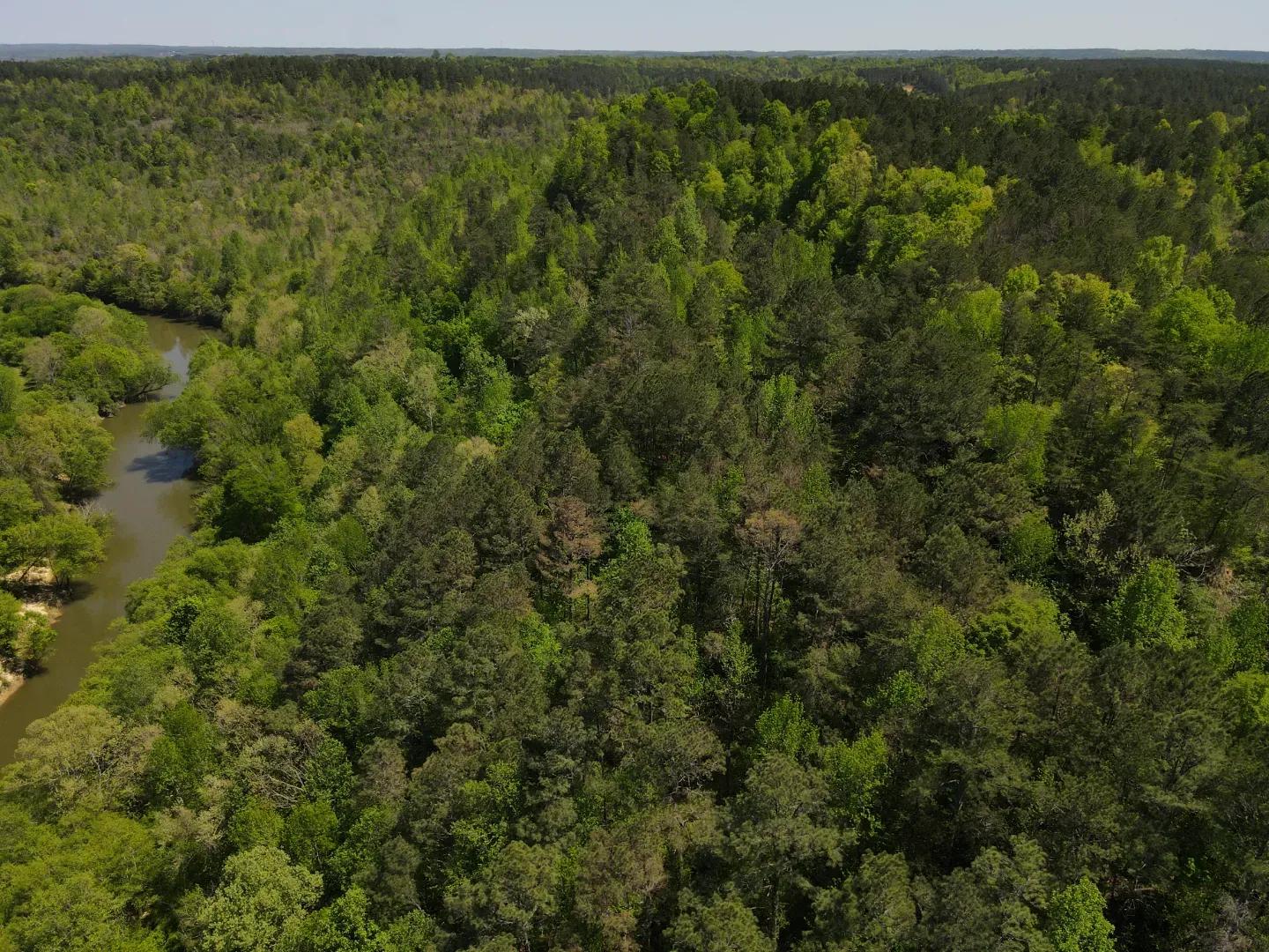 dji_fly_20250416_134100_137_1744828904585_photo