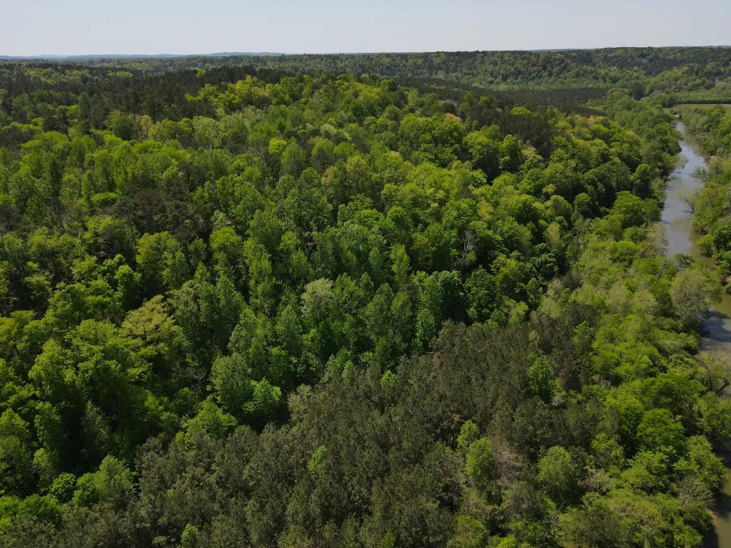 dji_fly_20250416_134158_140_1744828941487_photo