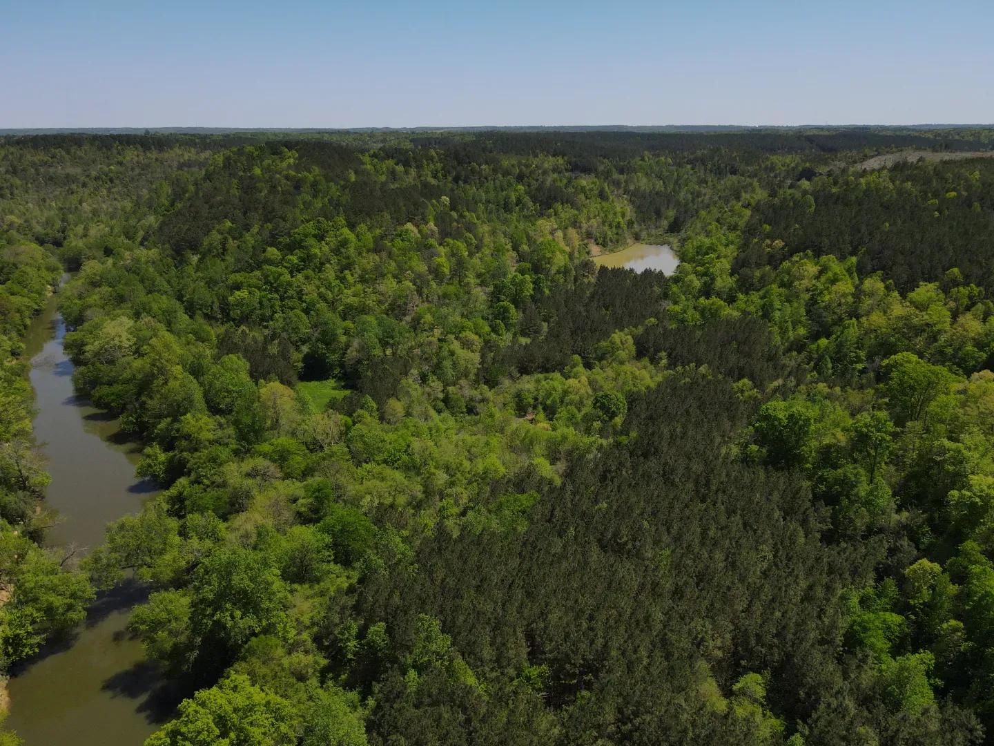 dji_fly_20250416_134222_142_1744828954196_photo