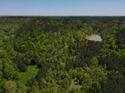 dji_fly_20250416_134234_143_1744828966978_photo