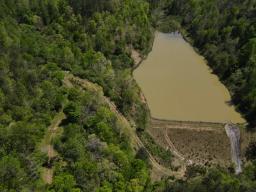 dji_fly_20250416_134306_144_1744828998326_photo