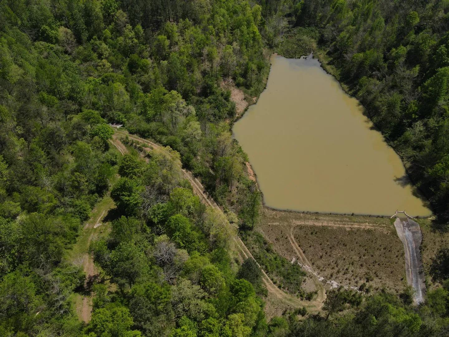dji_fly_20250416_134306_144_1744828998326_photo