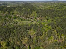 dji_fly_20250416_143346_149_1744832080814_photo