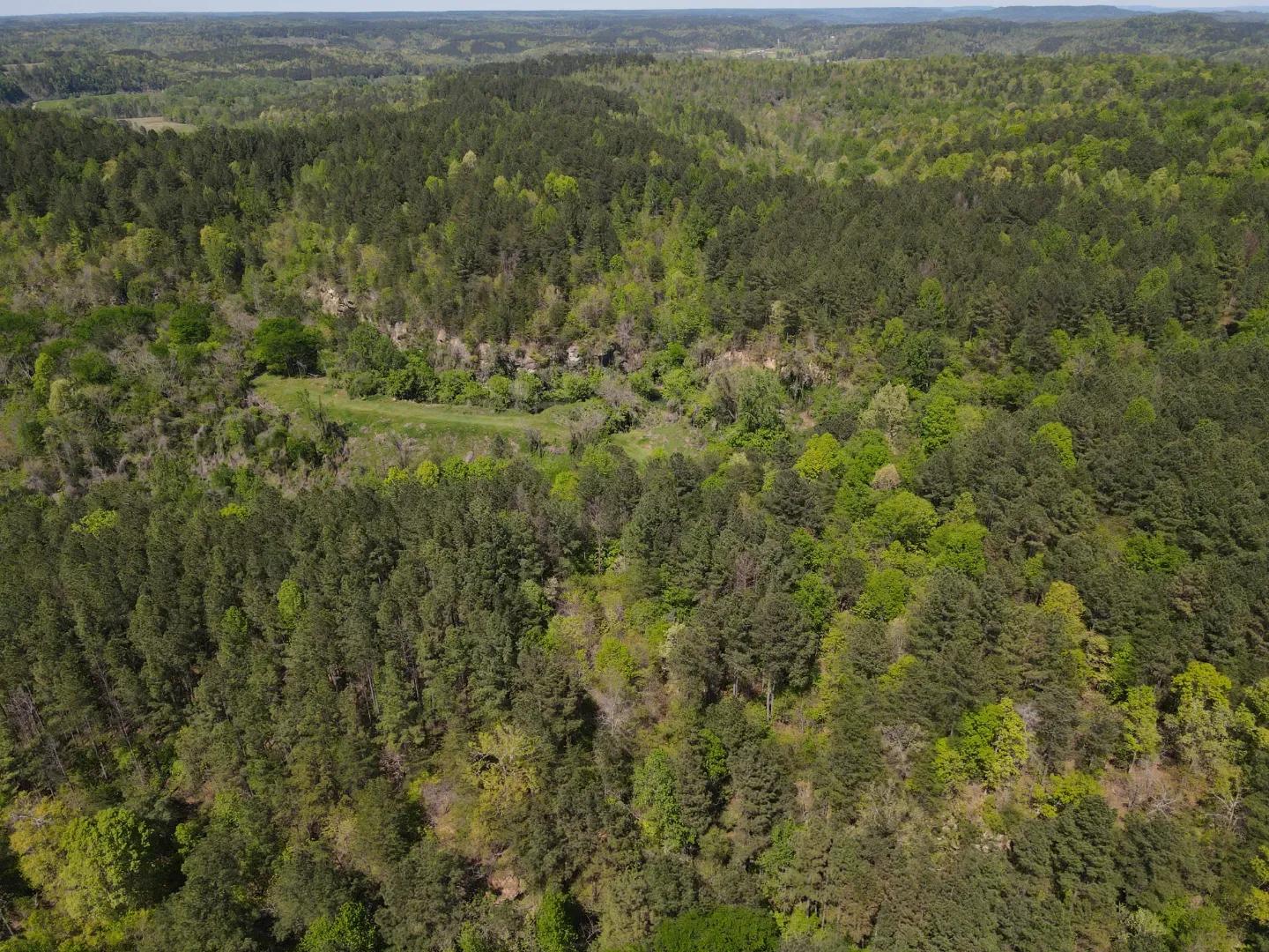 dji_fly_20250416_143346_149_1744832080814_photo