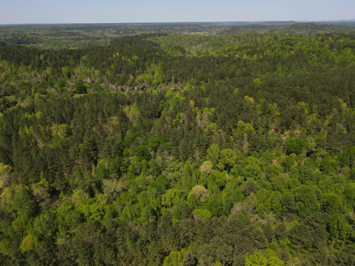 dji_fly_20250416_143454_151_1744847480016_photo