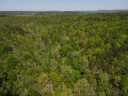 dji_fly_20250416_143642_156_1744847471237_photo