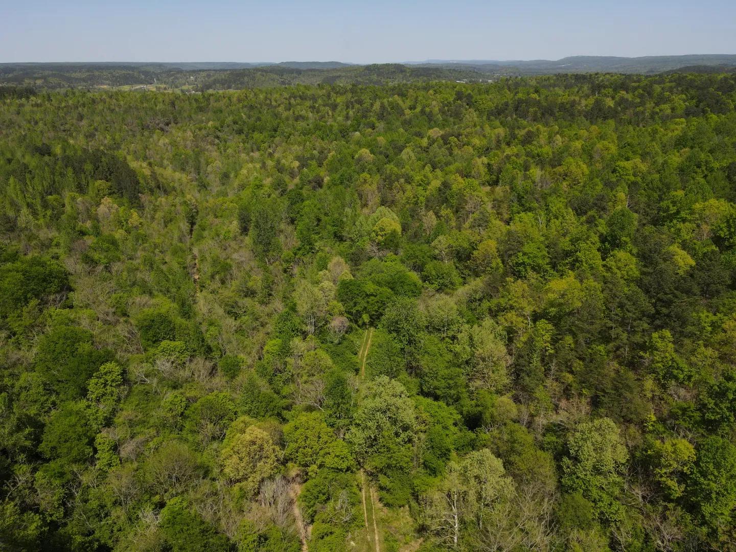 dji_fly_20250416_143642_156_1744847471237_photo