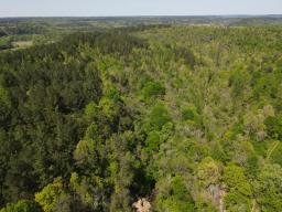 dji_fly_20250416_143652_157_1744847469193_photo