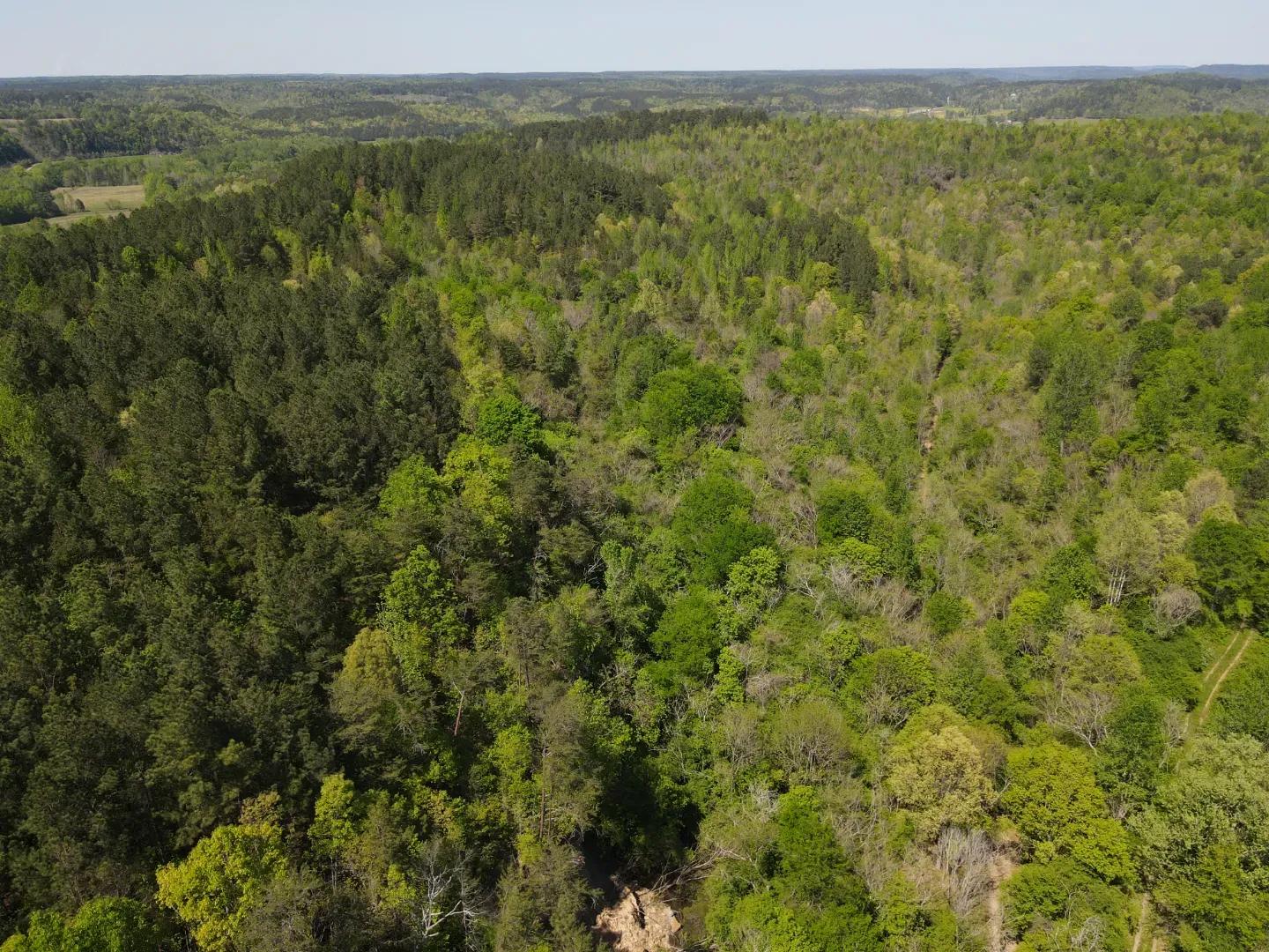 dji_fly_20250416_143652_157_1744847469193_photo