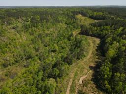 dji_fly_20250416_144132_170_1744847454837_photo