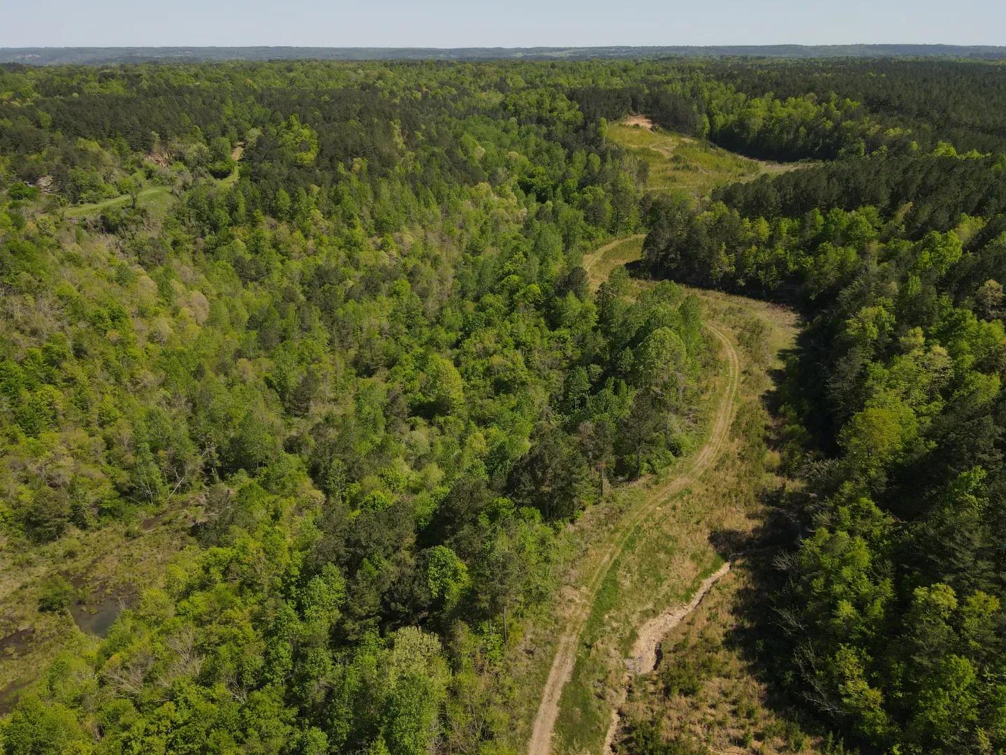 dji_fly_20250416_144132_170_1744847454837_photo