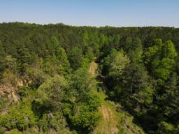 dji_fly_20250416_144326_176_1744847446509_photo