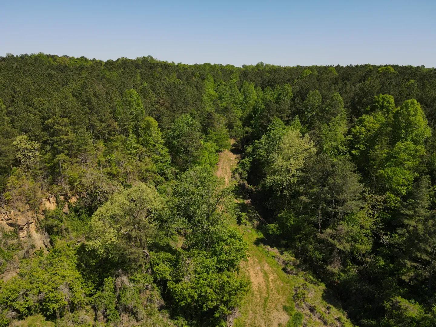 dji_fly_20250416_144326_176_1744847446509_photo