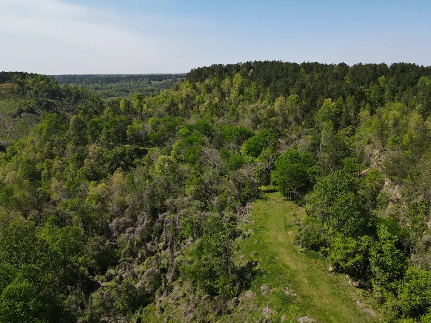 dji_fly_20250416_144336_177_1744847444442_photo