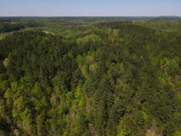 dji_fly_20250416_144456_180_1744847440384_photo