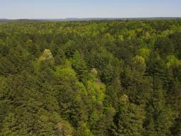 dji_fly_20250416_144510_181_1744847438459_photo