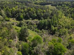 dji_fly_20250416_144528_182_1744847436490_photo