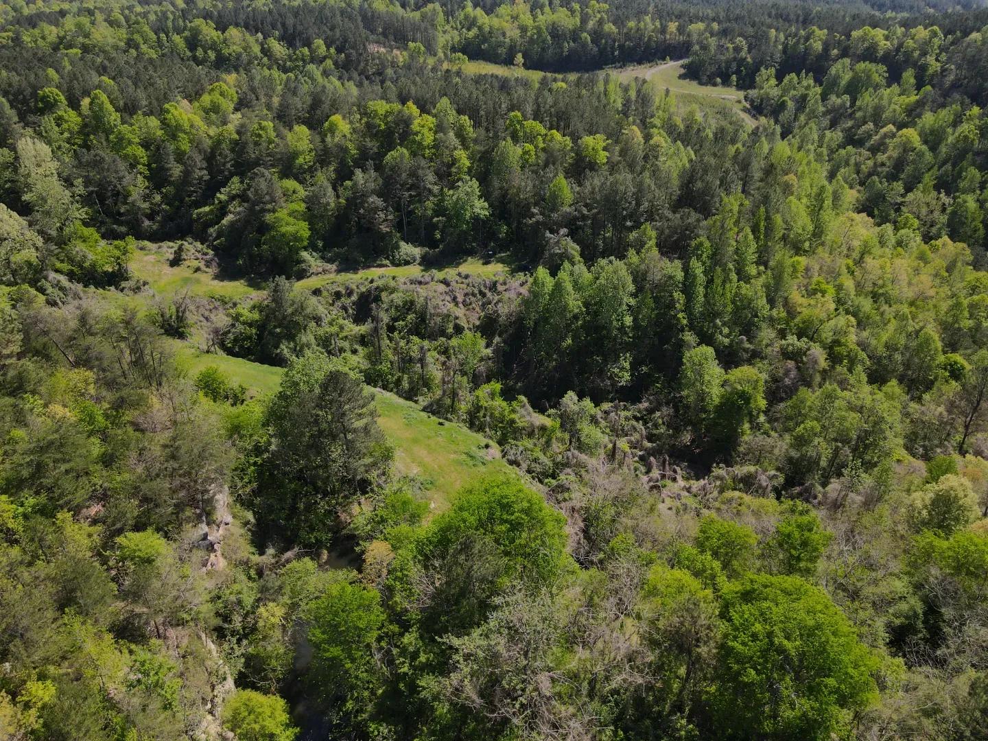 dji_fly_20250416_144528_182_1744847436490_photo
