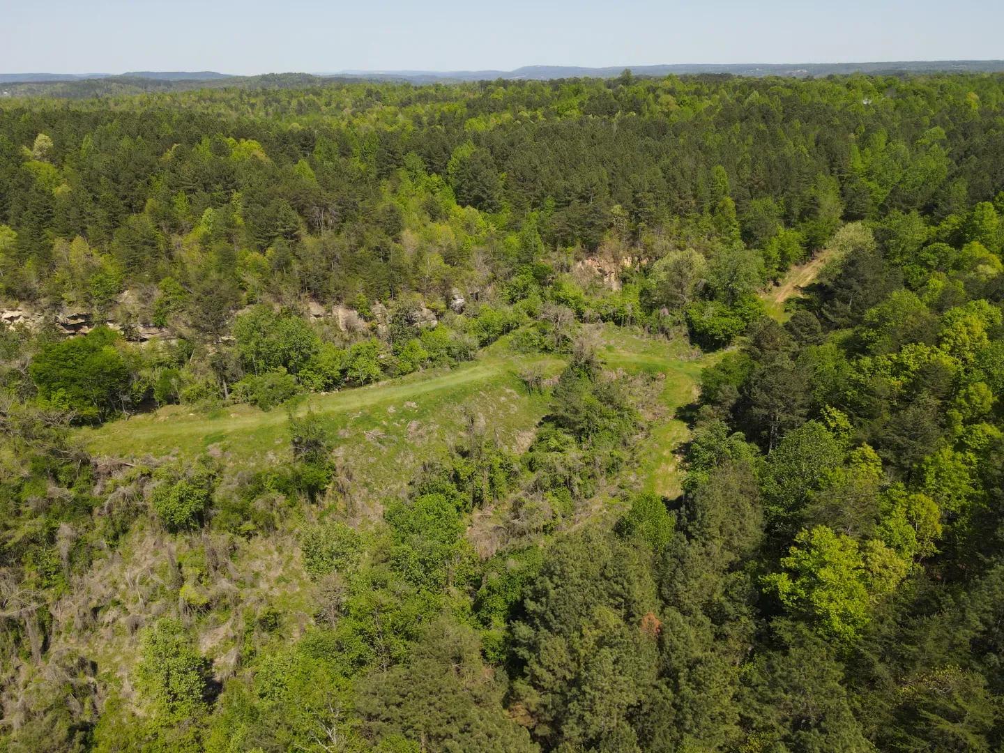 dji_fly_20250416_144644_187_1744847430420_photo