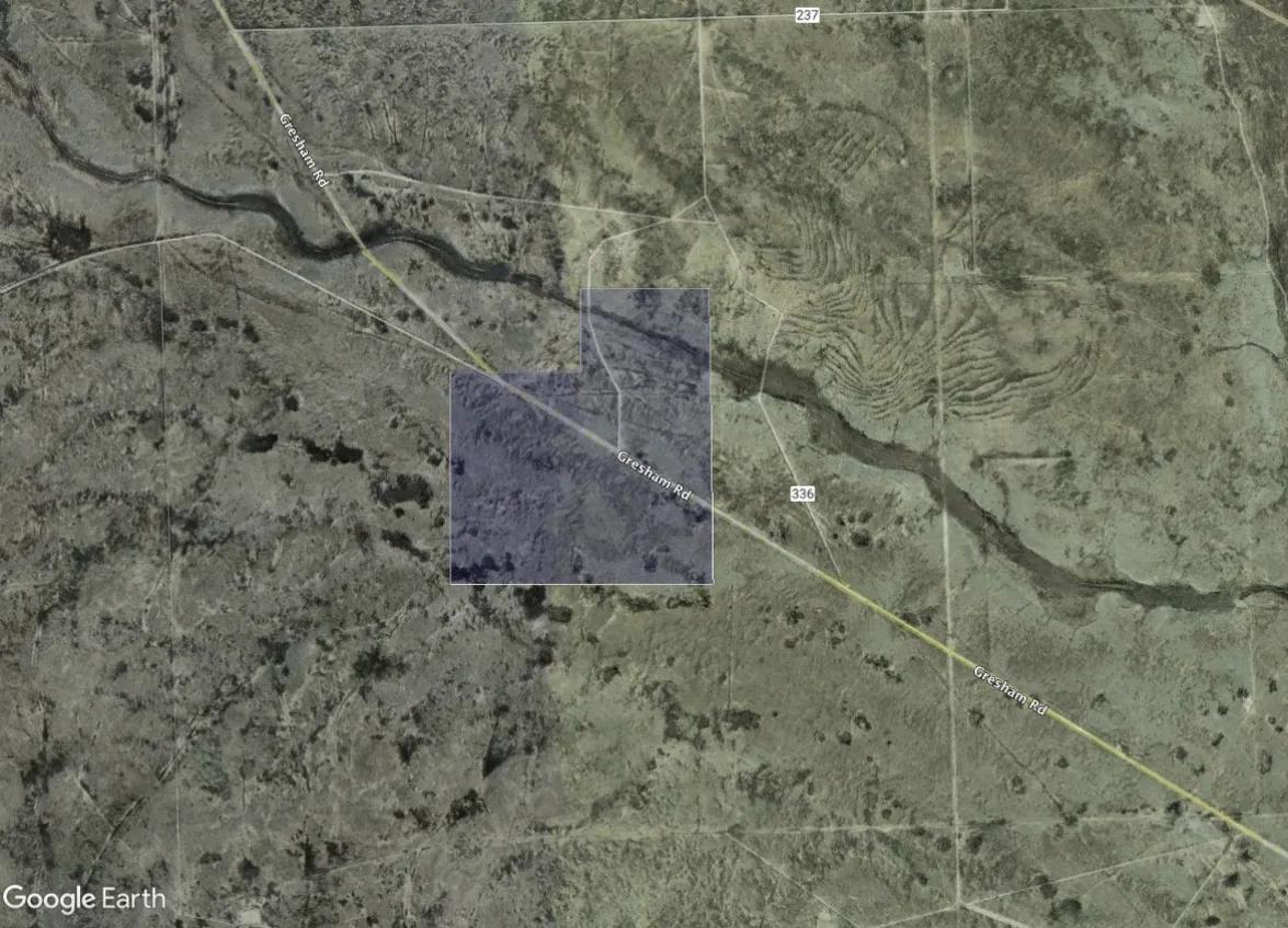 99888711-1