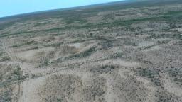 99888711-21