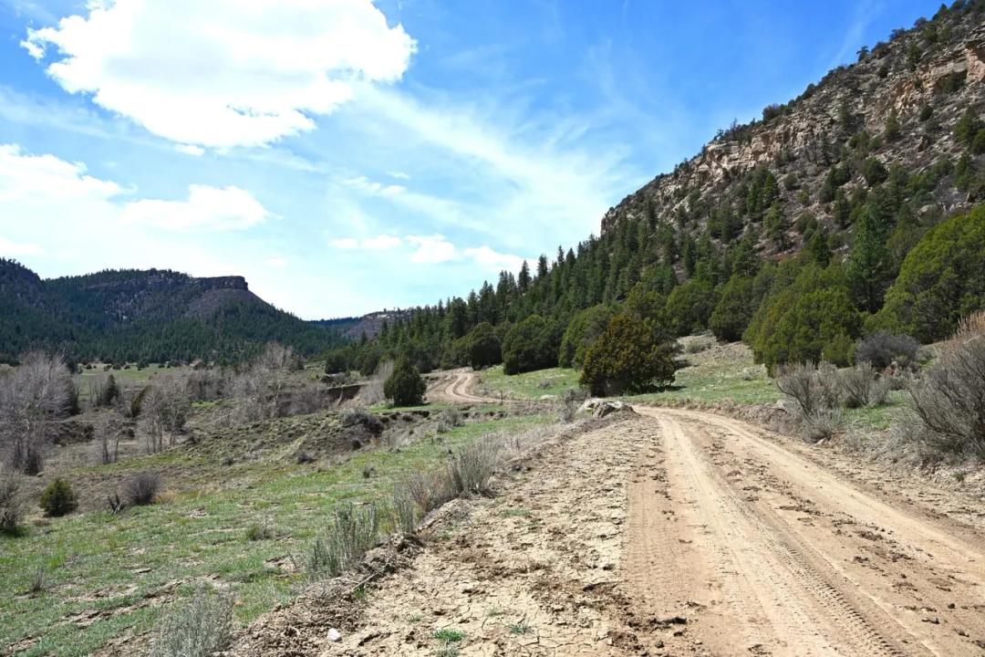 CR 352 80