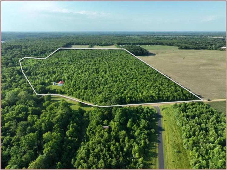 81.55 +/- Acres Chapin Lake Rd, Pine Tree Farm &amp; Barn