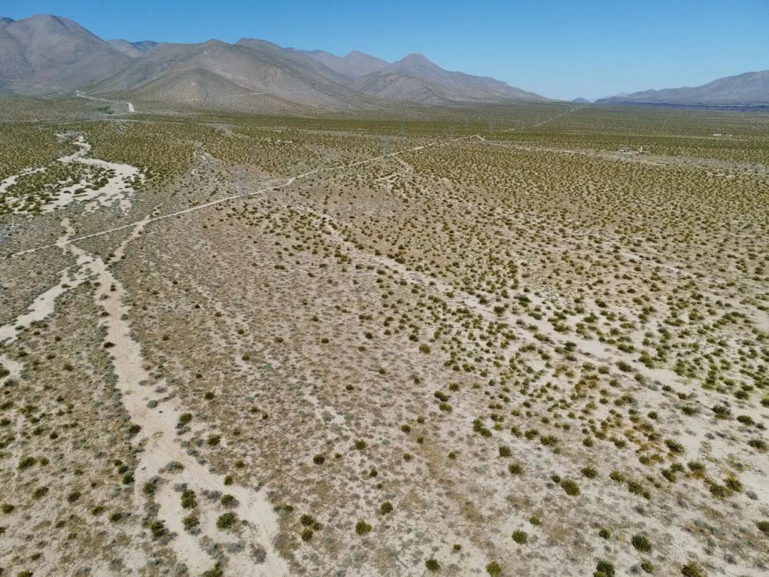 217.00 Acres at 0000 Highway 395