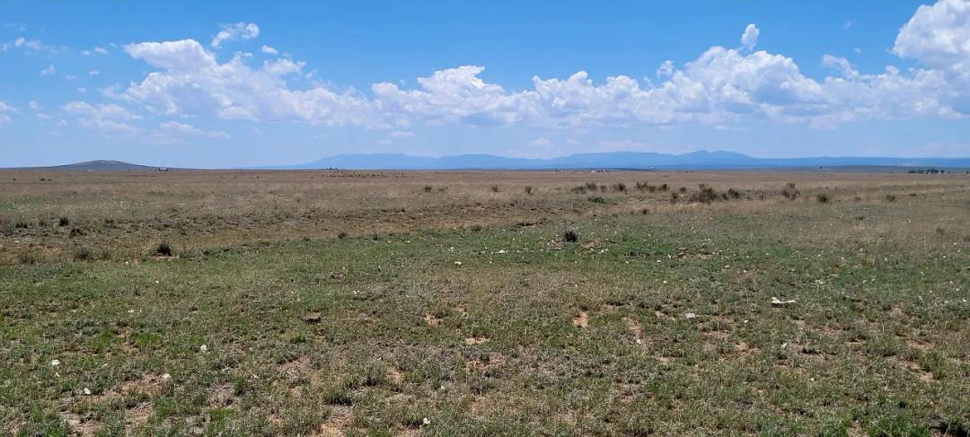 1 acre central New Mexico off the Grid lot - Camp RV Build