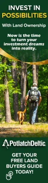Georgia Top Right 160x600 A