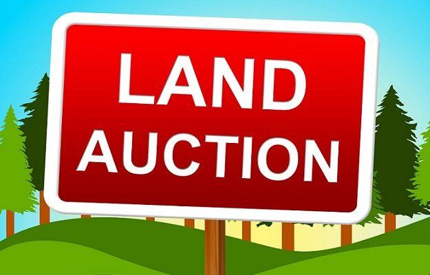 auction strategies to ensure a good deal