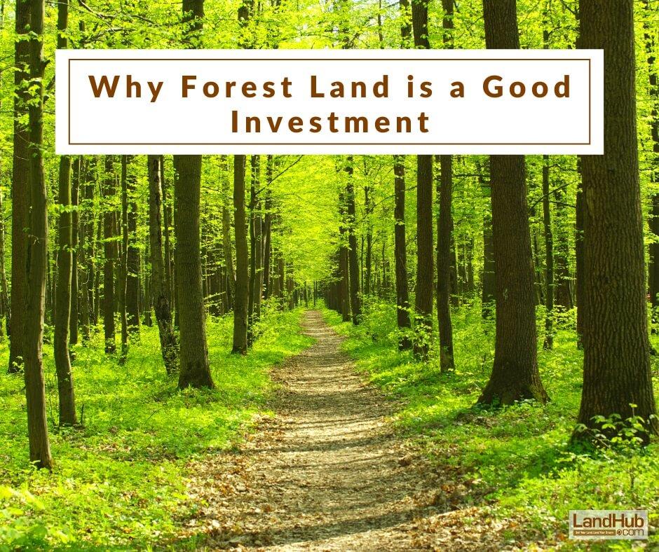 why forest land is a good investment