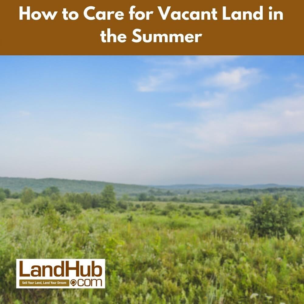 how to care for vacant land in the summer