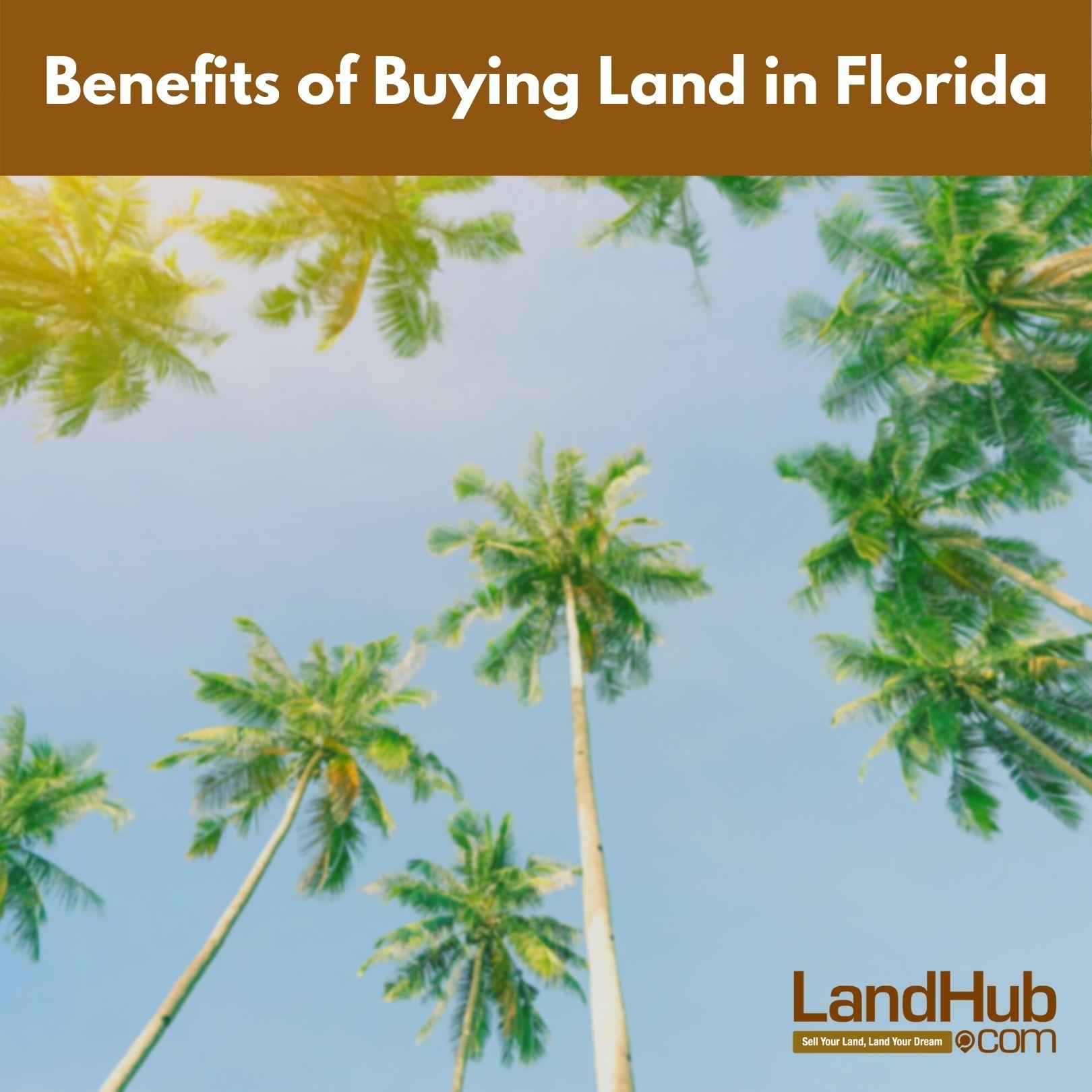 benefits of buying land in florida