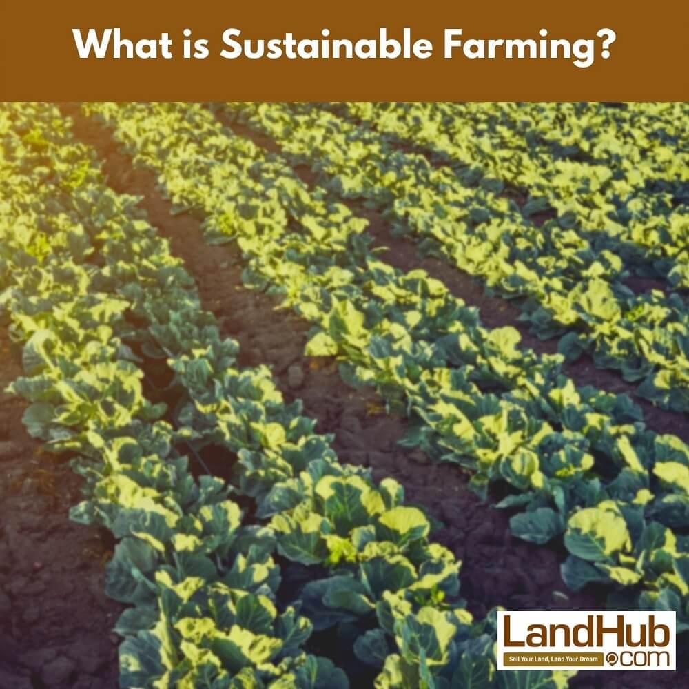 what is sustainable farming?