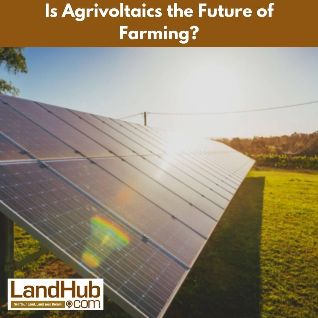 is agrivoltaics the future of farming?