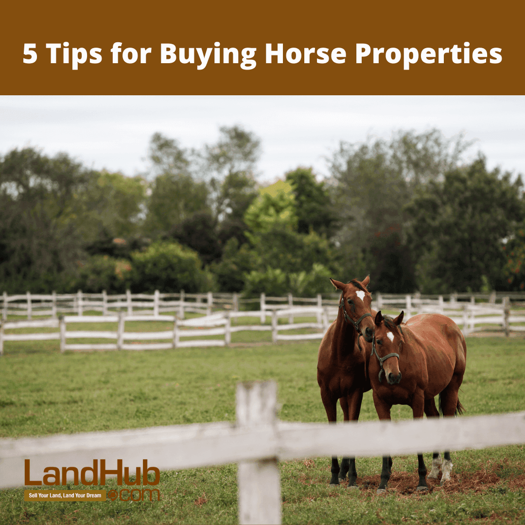 5 tips for buying horse properties