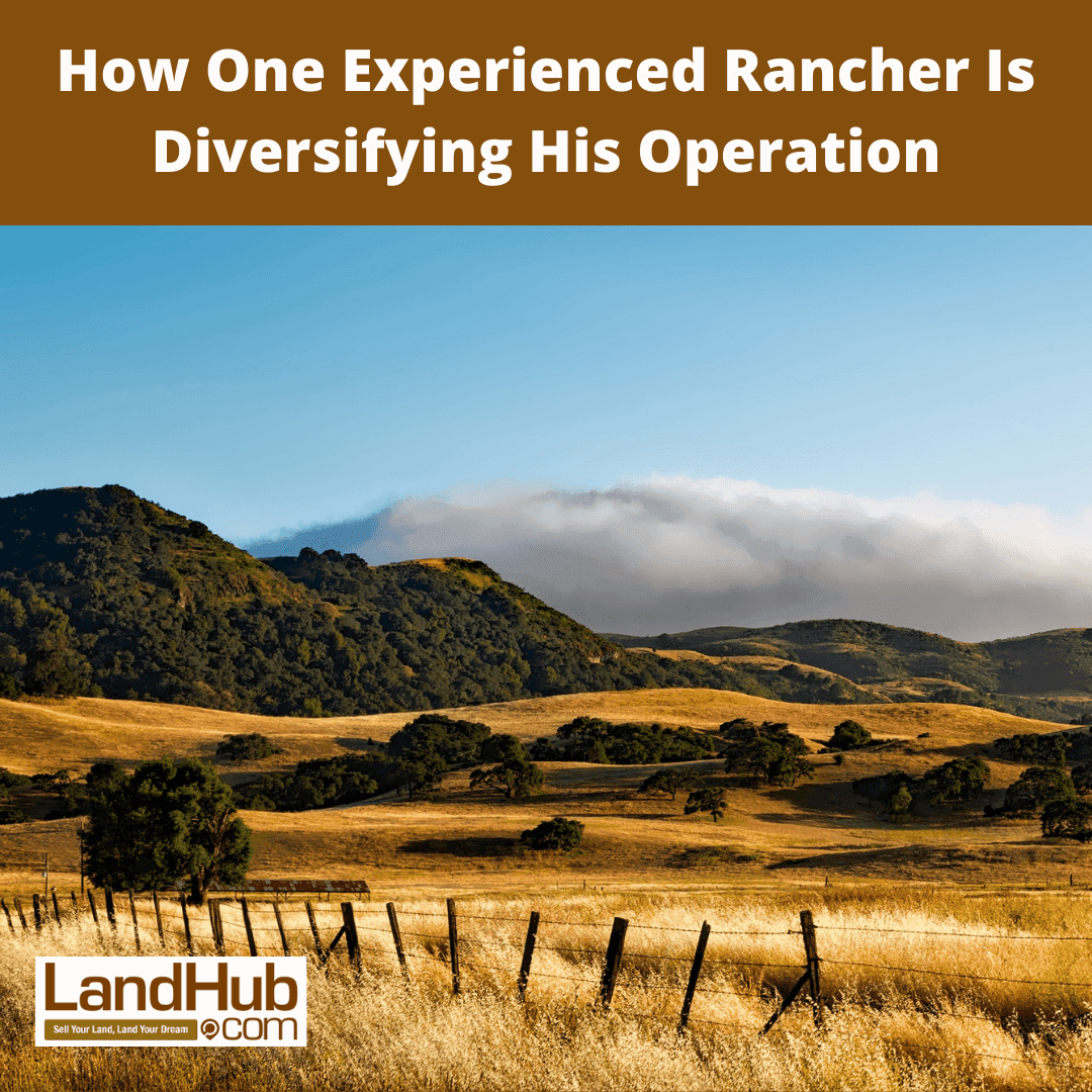 how one experienced rancher is diversifying his operation