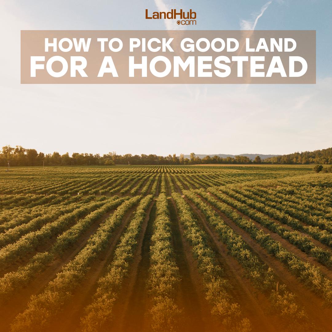 how to pick good land for a homestead