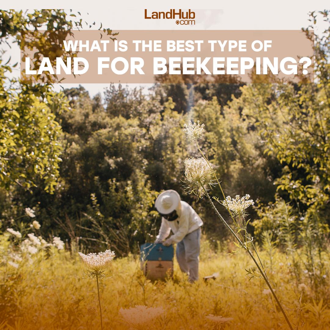 what is the best type of land for beekeeping?