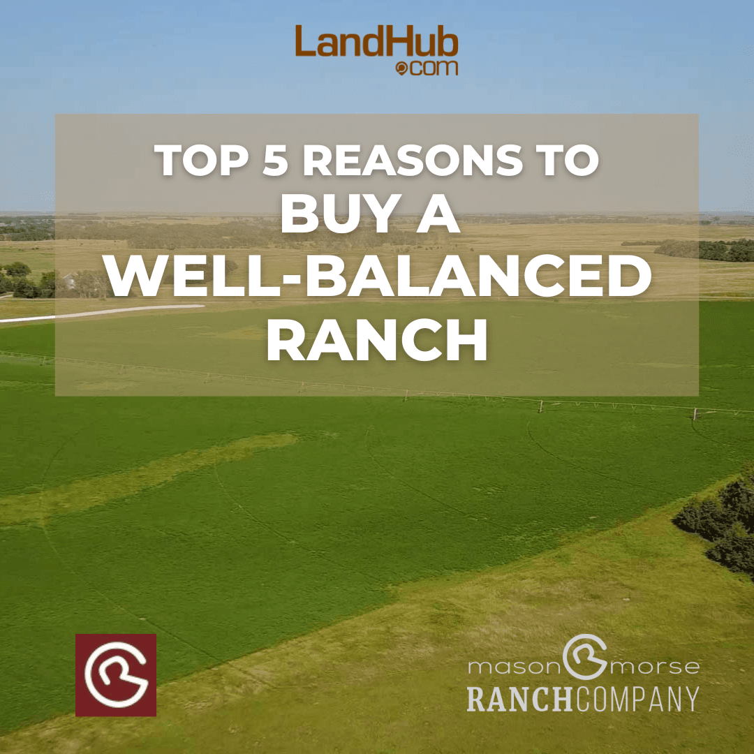 top 5 reasons to buy a well-balanced ranch