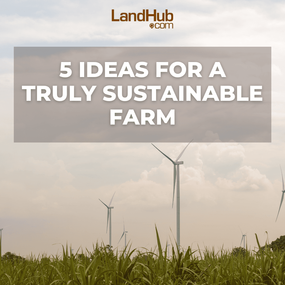5 ideas for a truly sustainable farm