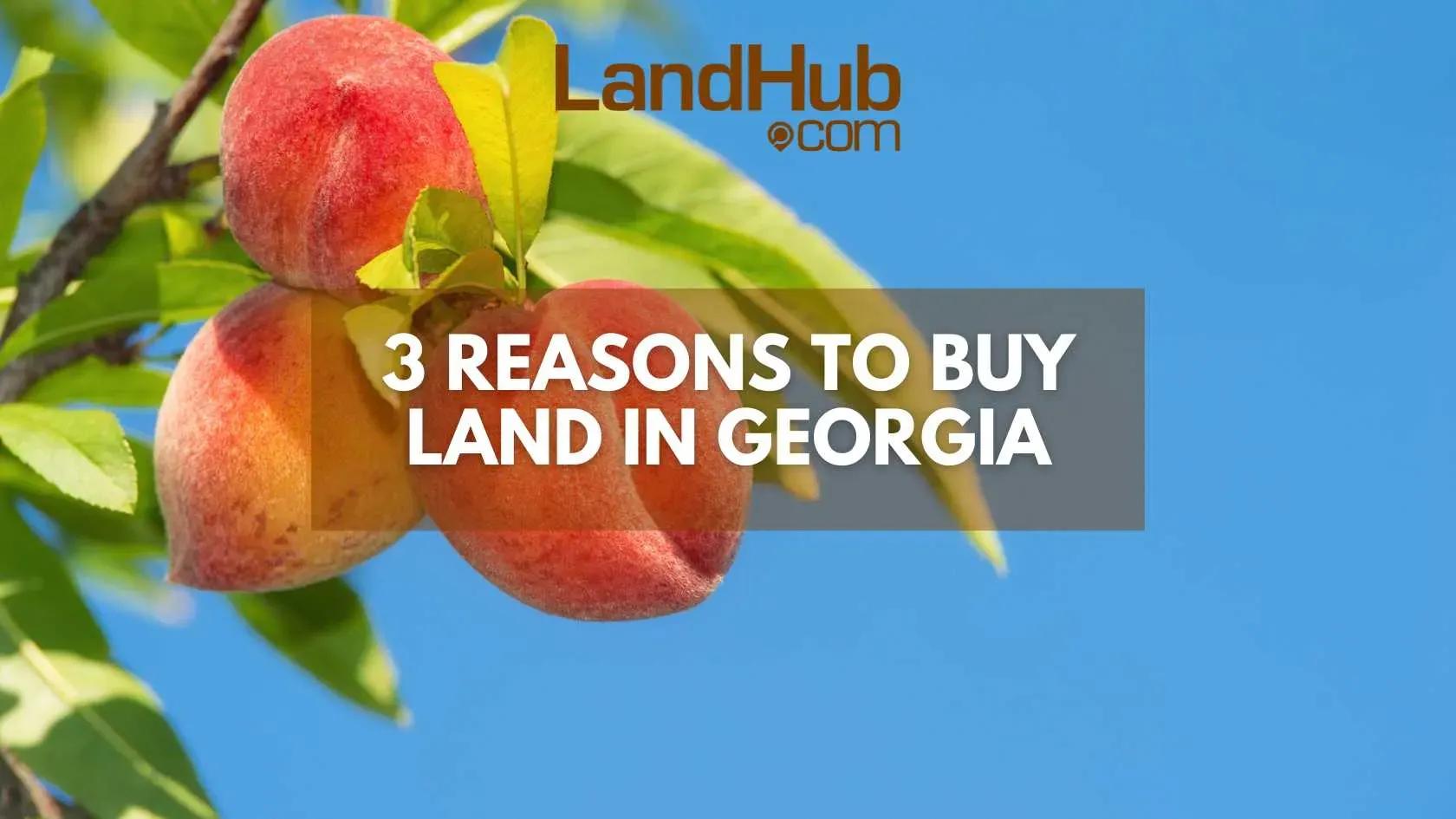 3 reasons to buy land in georgia