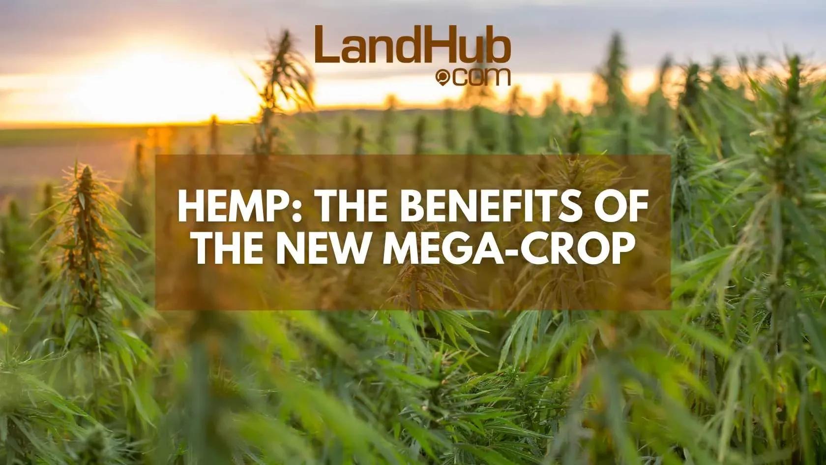 hemp: the benefits of the new mega-crop
