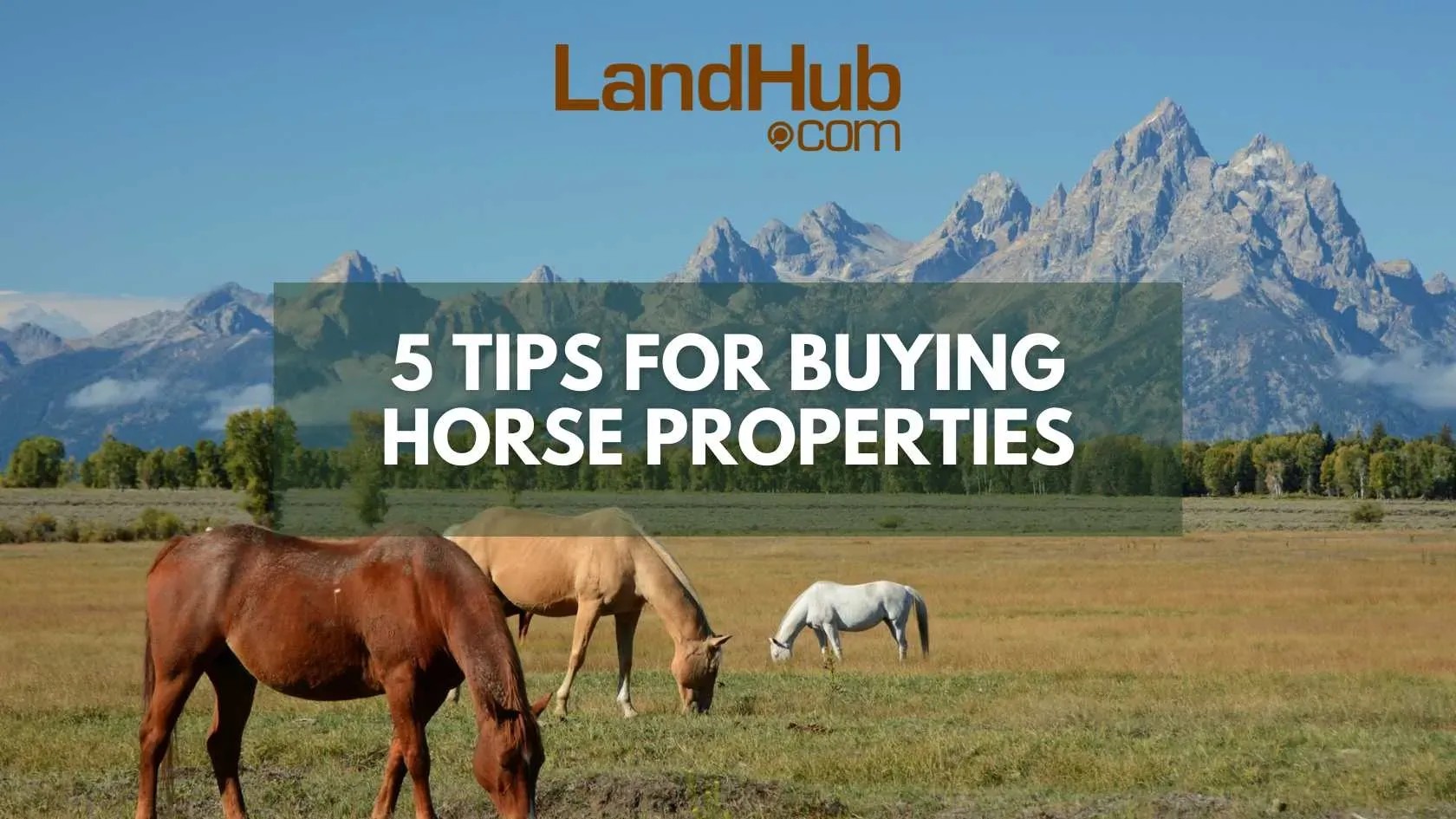 5 Tips for Buying Horse Properties