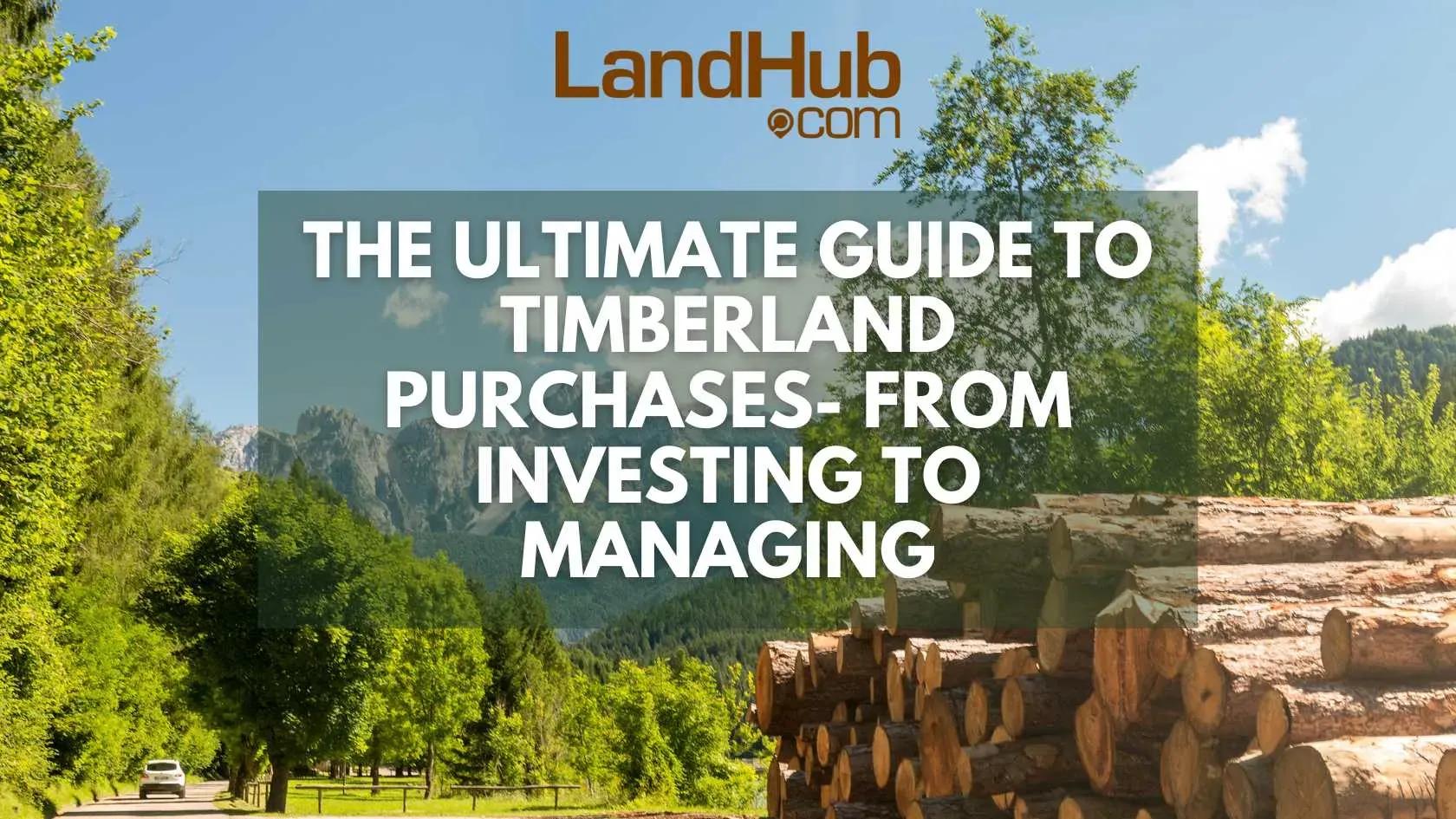 the ultimate guide to timberland purchases- from investing to managing
