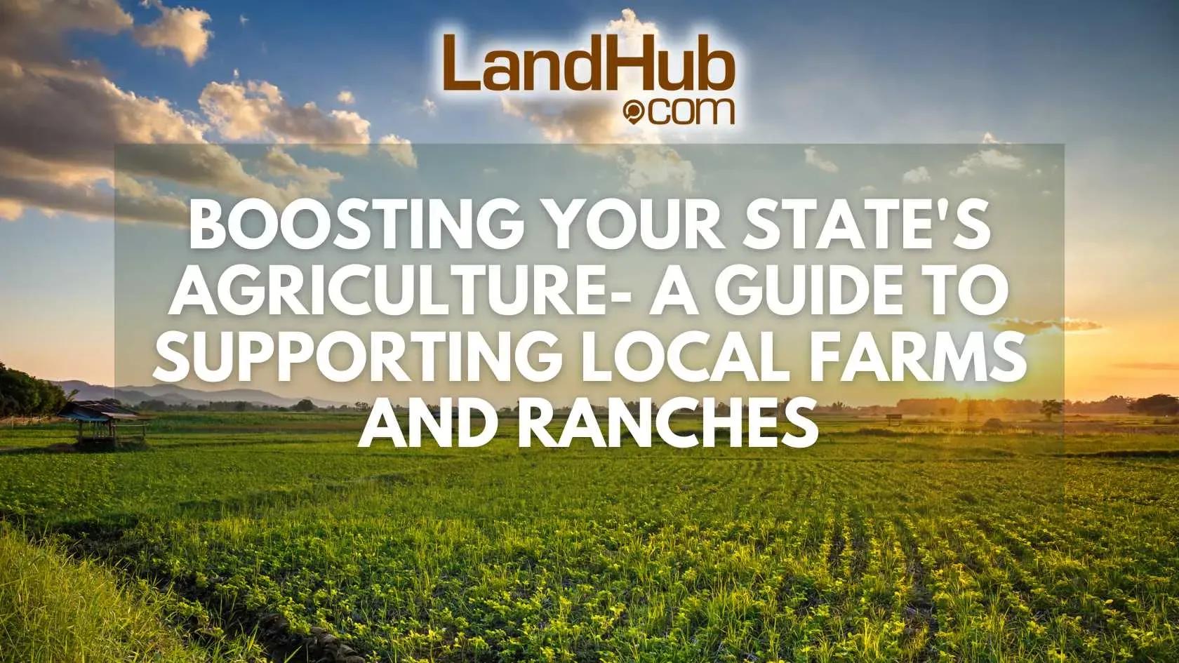 boosting your state's agriculture - a guide to supporting local farms and ranches