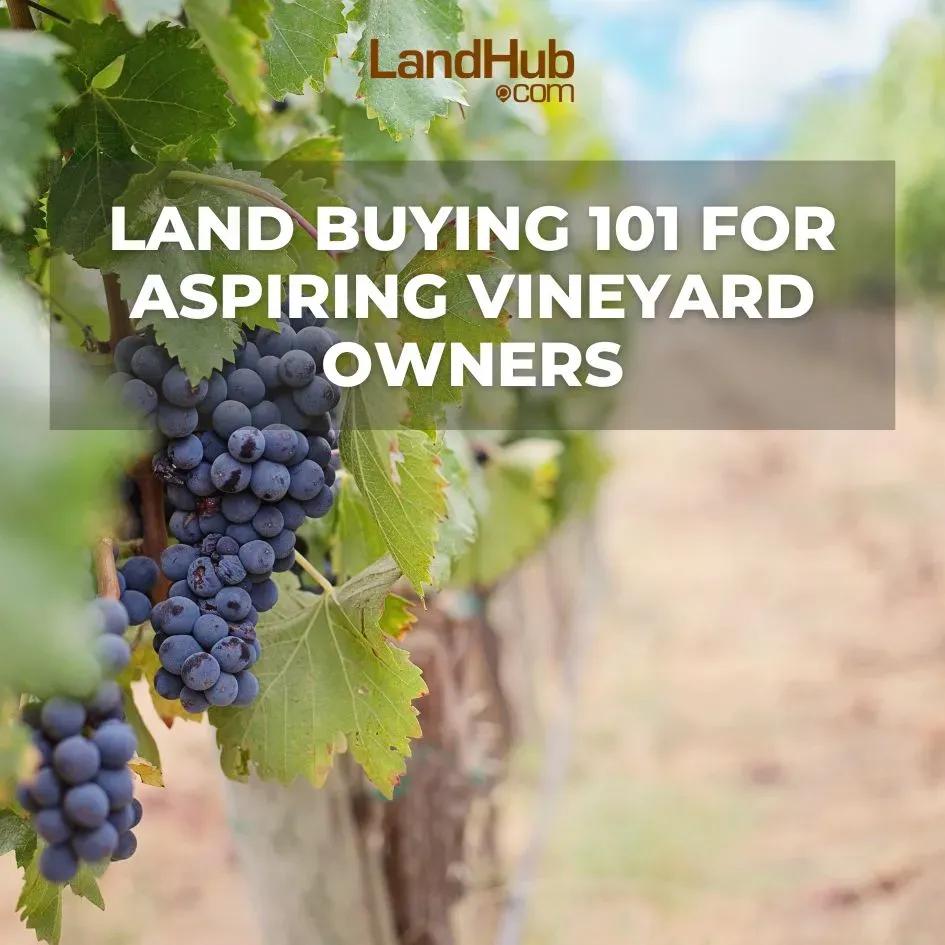 land buying 101 for aspiring vineyard owners